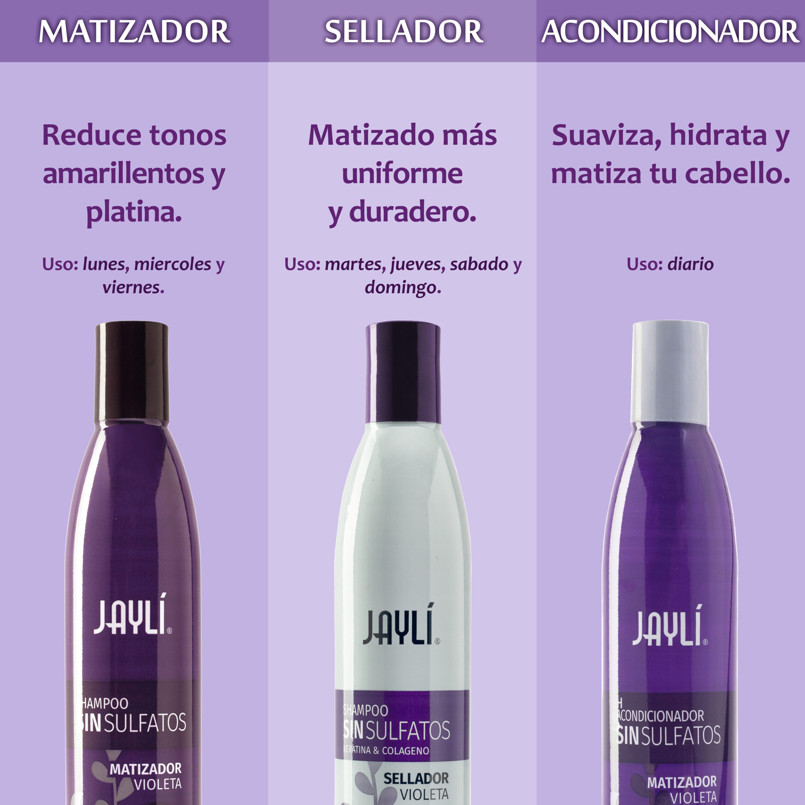Shampoo Sellador Violeta Sin Sal, Sin Sulfatos 320 ml - Imagen 2